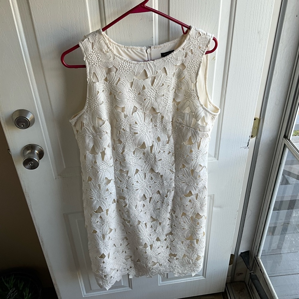 Gorgeous ANN TAYLOR size 14 dress
